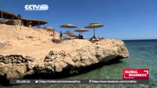 Tourist arrivals in Egypt drop by 45% following Sinai plane crush