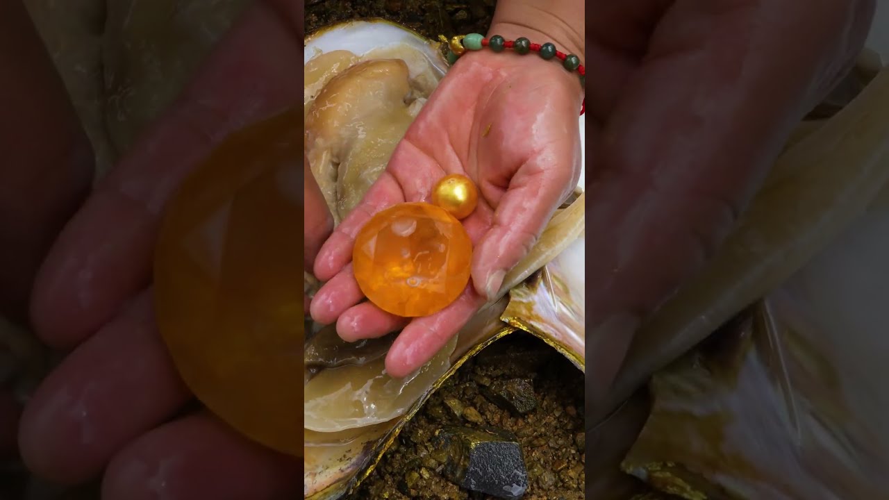  Mutated Golden Giant Clam An Incredibly Precious And Charming Pearl