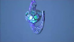 Moonstone Pendant