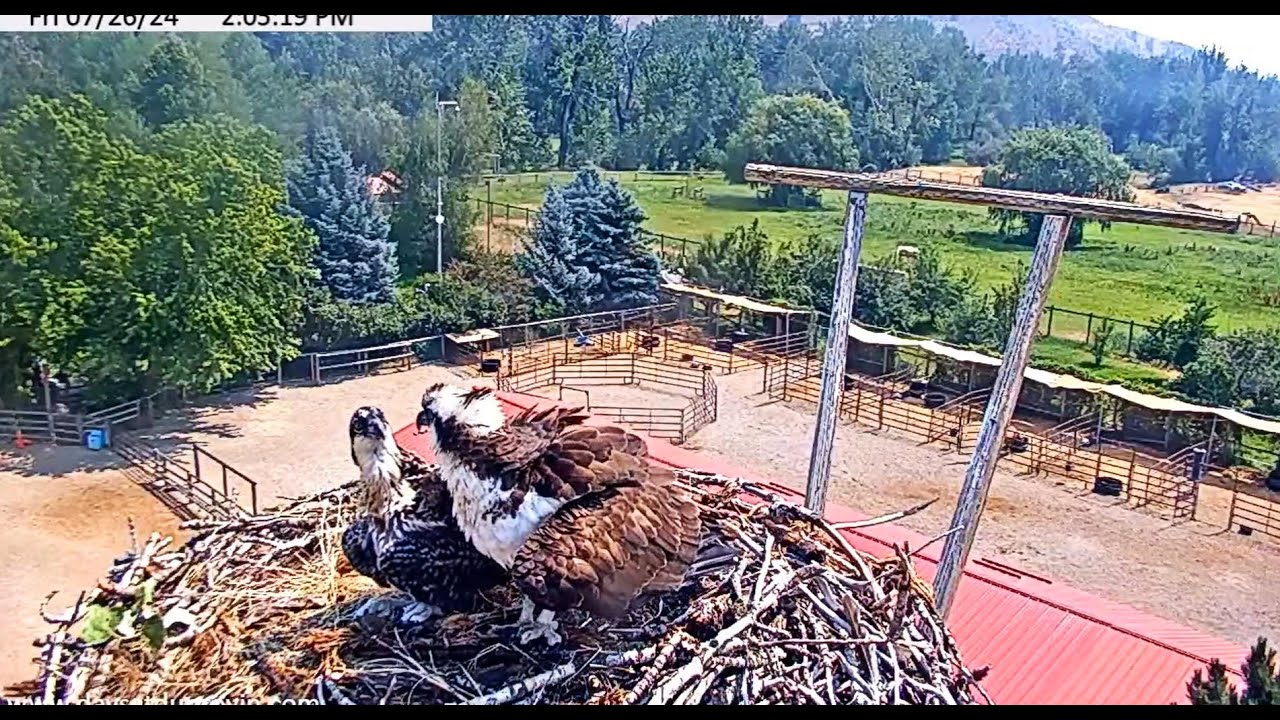 Beautiful Junebug with her mom, Winnie 2024 07 26 22 45 22 665 - YouTube