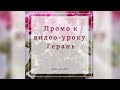 Промо-ролик к видео уроку по лепке Герани из холодного фарфора.