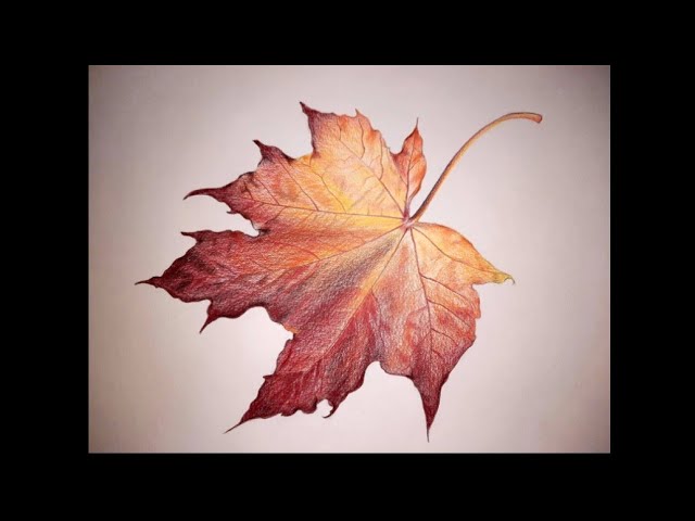 Comment dessiner des FEUILLES D'AUTOMNE facilement