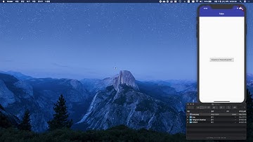 Flutter와 Firebase로 Android iOS 둘 다 만들기 14 런쳐 꾸미기