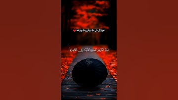 آيات السكينة والطمأنينة #القرآن_الكريم