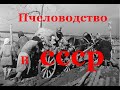 Пчеловодство для начинающих  Наука и пчелы СССР