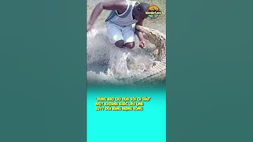 "ĐỪNG BAO GIỜ ĐÙA VỚI CÁ SẤU!" – MỘT KHOẢNH KHẮC LIỀU LĨNH SUÝT ĐỔI BẰNG MẠNG SỐNG  #wanderlens