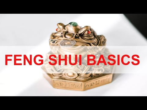 How To Place Your Feng Shui Money Frog For Good Luck - FENG SHUI BASICS