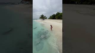 Lady Interacting with Stingrays at a Beach