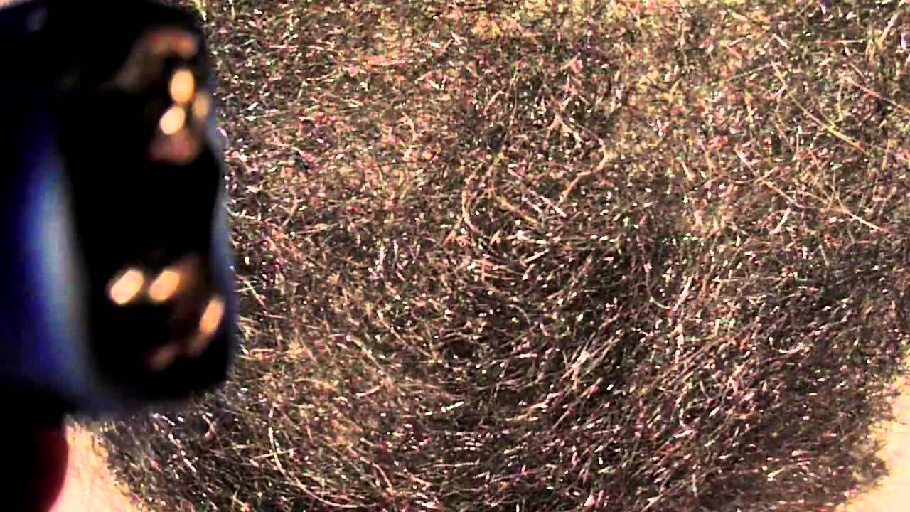 Fire Burning Steel Wool With A 9v Battery YouTube