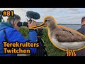 🐤Het Lauwersmeer: een Paradijs voor Zeldzame Vogels🐤 | Vogelskijken in Nederland