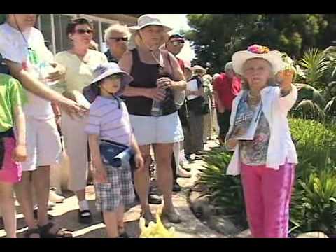 Patricia gives a tour of the Bragg Farm