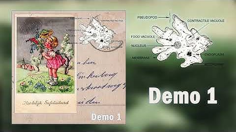 Amœba - Demo 1 [Comfy Synth / Cellular Noise]