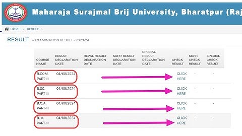 Msbu Ba 3rd Year Result 2024 | BrijUniversity Ba,Bsc,Bcom,Bca Final Year Result 2024| MsbuResult2023