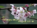越後桜  オリジナル歌手: ♪朝日奈ゆう  ♪  カバ-マンリイ 歌詞付き