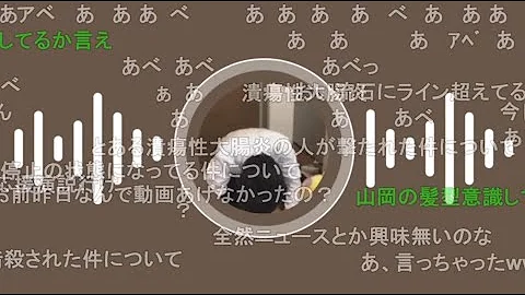 もこうオオスバメ