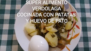 Como cocinar Verdolaga, la planta silvestre que nos super alimenta y cura.