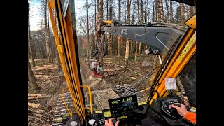 🌲|4K| • WFW Ecolog 590E *ONBOARD* • Harvester in Action • Loggingvideo • Mitfahrt • Harvesting🌲