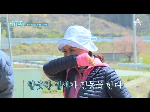 ＂ <strong>동준</strong> 오늘 제대로 사고칠 예정 (등짝스매싱) | 아재 감성 느와르 아빠본색