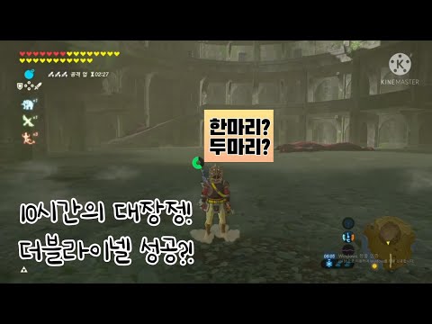 10시간의 대장정... 더블라이넬 성공했을지?! (젤다야숨)