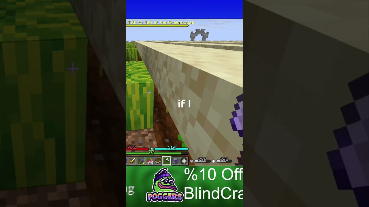 Mellon asmr #minecraft