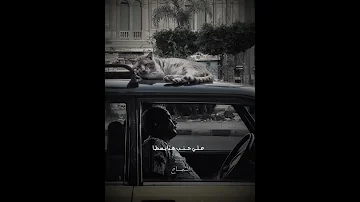 تايه في دنيتنا ونسيت طريق اكسبلور متابعه حالات 