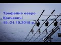 трофейне озеро Кричевичі оз. Кричевичи карпфішинг карпфишинг