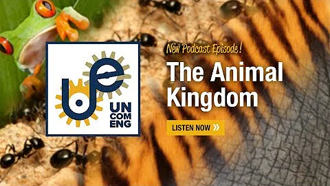 The Uncommon Engineer: The Animal Kingdom with David Hu