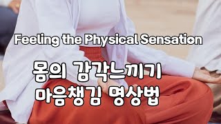 [초보자명상 클라스3] 몸의 감각 느끼기.  있는 그대로 느끼는 마음챙김 명상하는법. 바디스캔