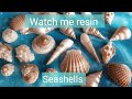 Watch me resin; Seashells