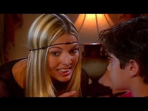 Wild Cat Episode 186