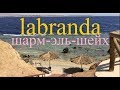 Labranda tower bay youtube. Экскурсия по отелю.