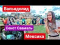 Мексика. Достопримечательности Вальядолид Мексика. Огромный сенот. Сенот Саамаль /Senote Valladolid.