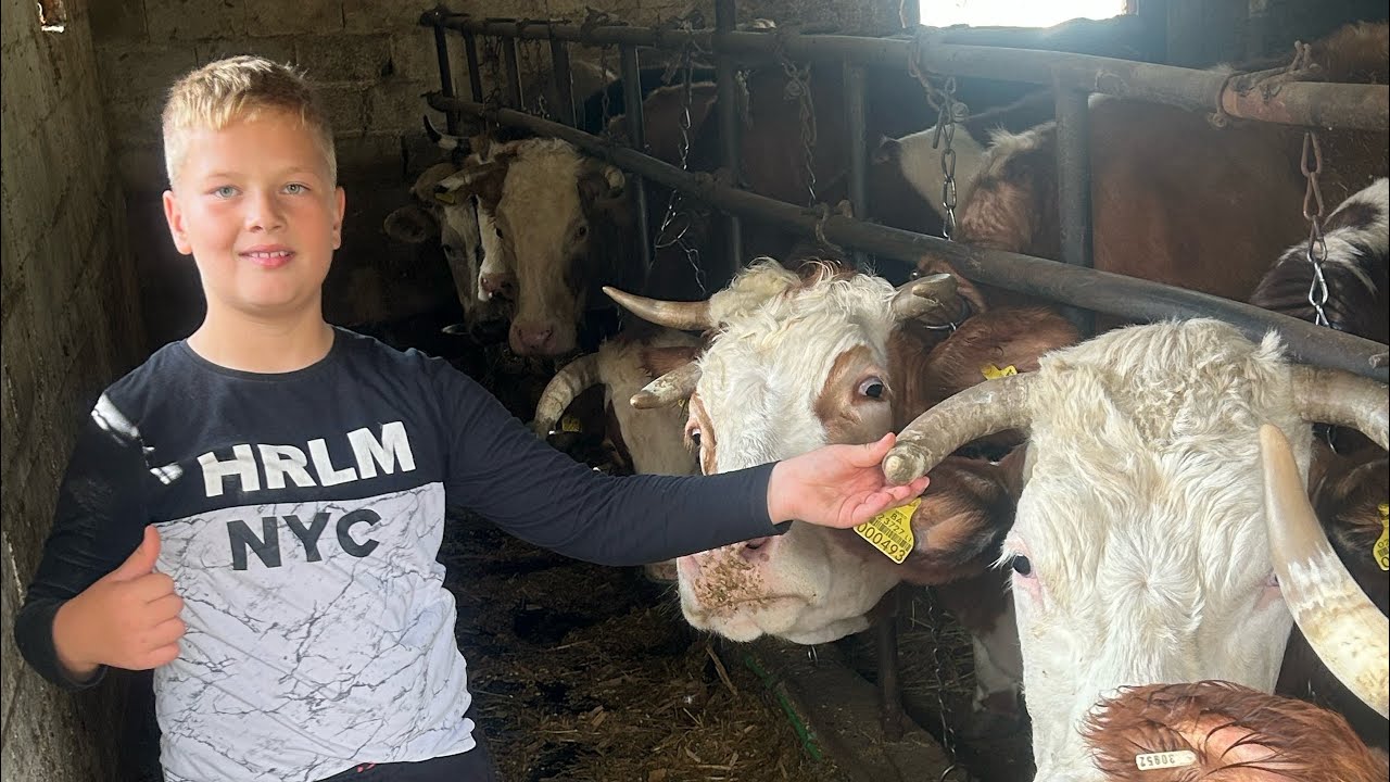 “Ima samo 10 godina, a brine se o 30 krava