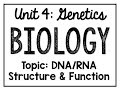 Understanding DNA and RNA