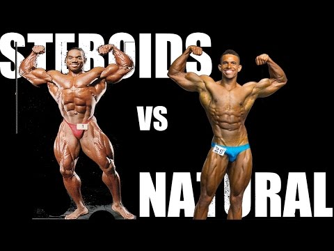 100 Percent Natural Bodybuilders Diet