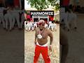 Harmonize Kidedea Dance Harmonize Kidedea Kondemusic Kajala Kondegang Mashabikiwaharmonize
