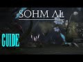 ⚔️ Sohm Al 🏹 Tank-POV // Heavensward - Dungeon Guide // Neulings Guide FFXIV