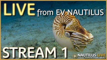 Nautilus Live | Channel 1 Stream