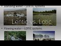 Limnology lecture 16 lentic vs lotic ecosystems 