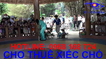 Cho thuê xiếc chó,cho thuê xiếc chó trung thu:0968 168 724