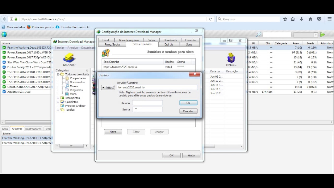 internet download manager torrents