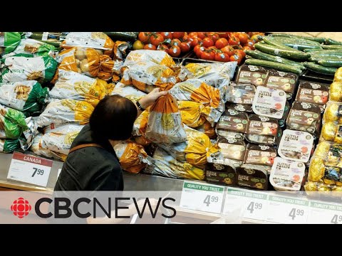 Competition in Canada is in decline, federal agency finds