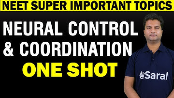 Neural Control and Coordination One Shot | Important Concepts and Questions for NEET