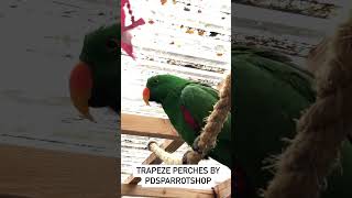 Transform Your Parrot&#39;s Life with Rope Perches - Online Store Exclusive | #birdcare  #ParrotPerches