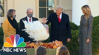 Watch: Trump Hosts 2020 White House Turkey Pardon, Introduces ‘Corn’ And ‘Cob’ | NBC News NOW