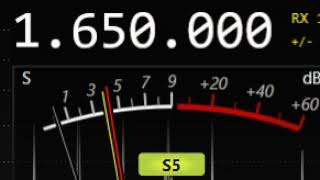 AM 1650 KBJD Radio Luz, Denver Colorado USA screenshot 3