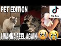 I WANNA FEEL AGAIN TIKTOK COMPILATION | PET EDITION | TRY NOT TO CRY 😭😭😭