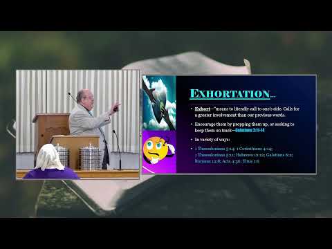 Video preview