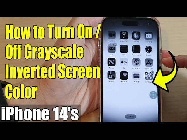 iPhone 14's/14 Pro Max: How to Invert Screen Color With Zoom Filter 