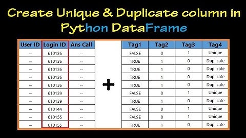 Create Unique and duplicate column in python dataframe